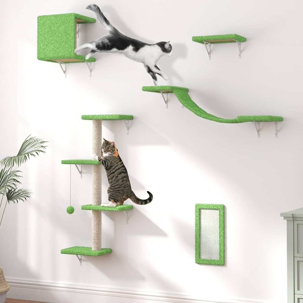 How to Keep Indoor Cats Entertained