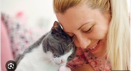 Demystifying Why Do Cats Purr When You Pet Them?