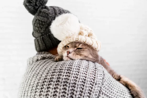 Cat care during winter